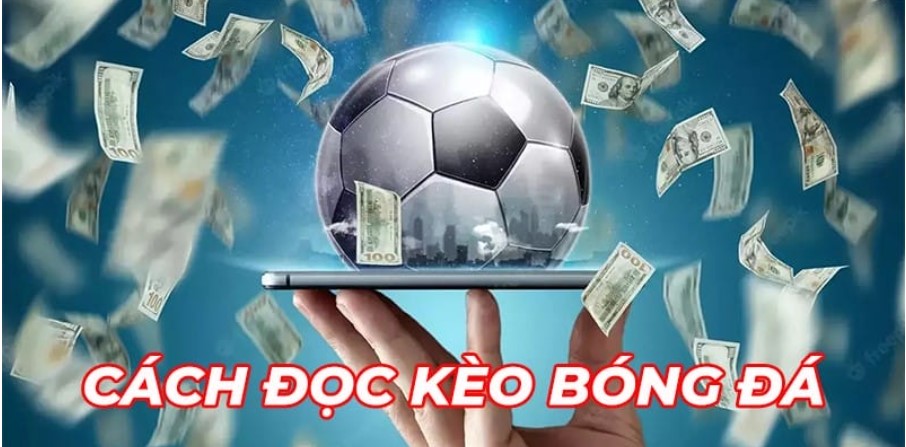 Cách Đọc Kèo Bóng Đá Rikbet: Bí Kíp Cực Đỉnh Cho Người Mới 1 Cách Đọc Kèo Bóng Đá Rikbet