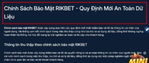 Chính sách bảo mật Rikbet