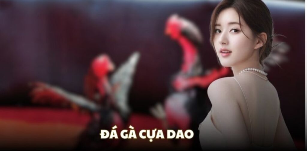 Đá gà cựa dao Rikbet