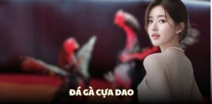 Đá gà cựa dao Rikbet