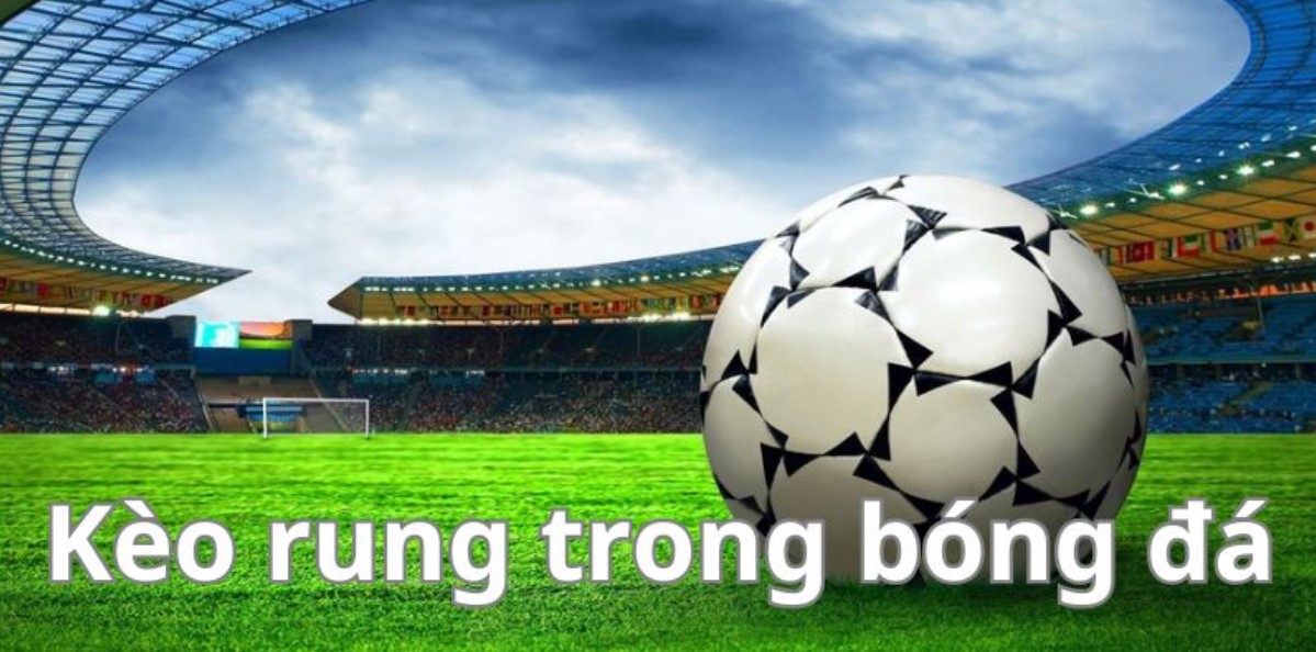 Cách Đọc Kèo Bóng Đá Rikbet: Bí Kíp Cực Đỉnh Cho Người Mới 4 Kèo tài xỉu bóng đá