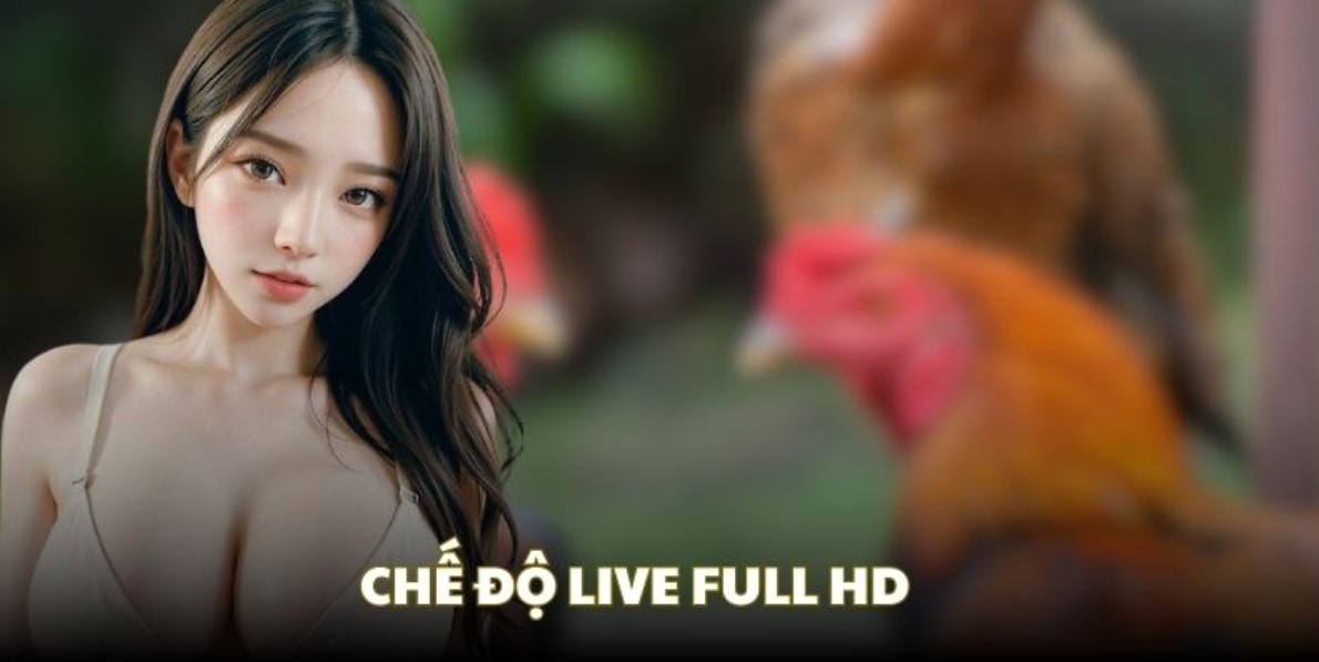 Khám phá sức hấp dẫn của đá gà cựa dao Rikbet