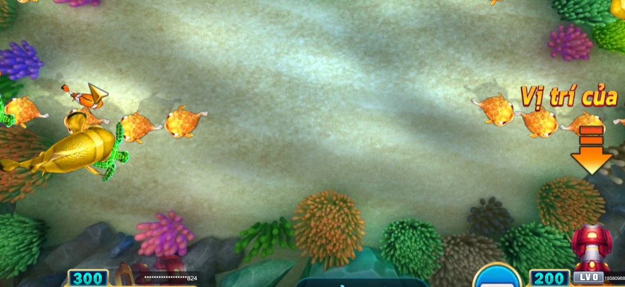 Mẹo bắn cá hiệu quả cho cược thủ