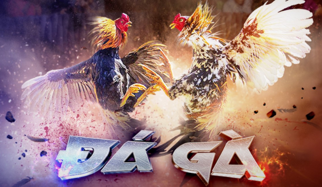 Sơ lược sảnh đá gà Rikbet