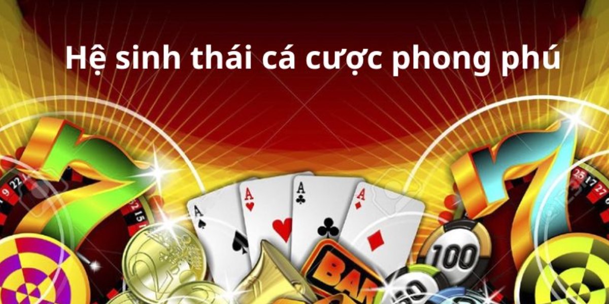 Đặng Hải Triều 2 Thành tựu đáng nể của Hải Triều trong ngành cá cược trực tuyến