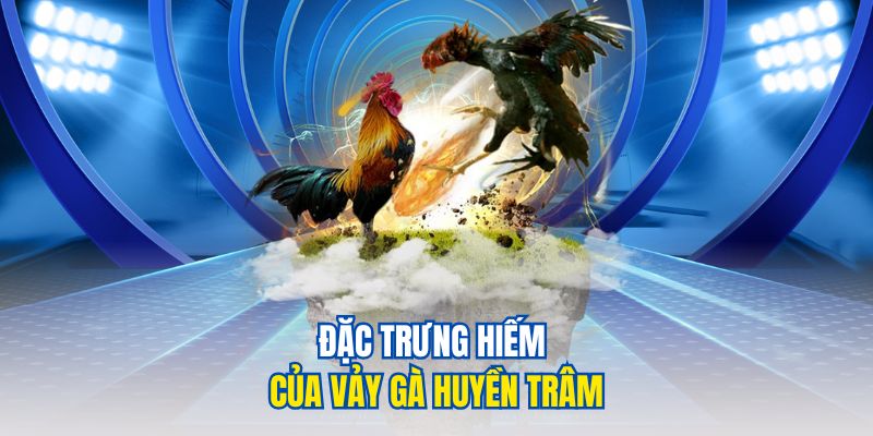 Đặc trưng hiếm của vảy gà Huyền Trâm