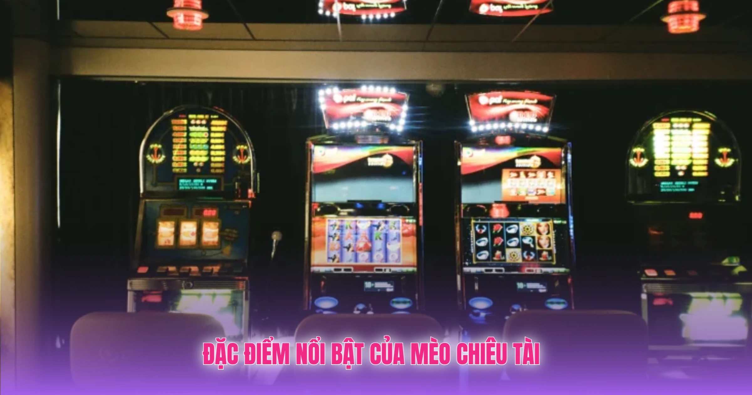 Mèo Chiêu Tài Rikbet - Vẫy Tay Gọi Lộc Về 3 Đặc Điểm Nổi Bật Của Mèo Chiêu Tài